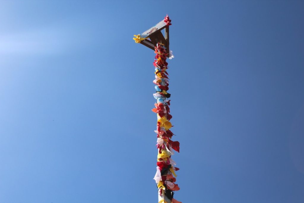 Patrimônio imaterial: Mastro erguido durante a Festa da Carpição e de Nossa Senhora de Bonsceusso. Ano: 2015. Acervo: AAPAH/Bruno Leite de Carvalho.